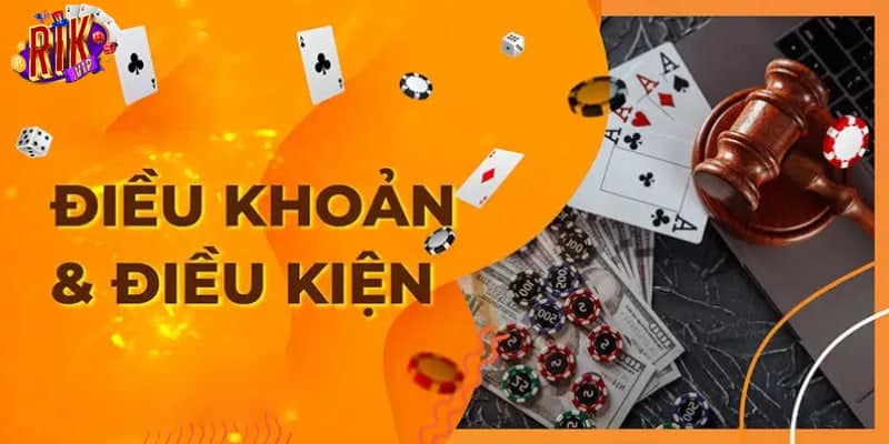 điều khoản và điều kiện 